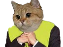 :chat_gj2: