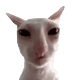 :Bingus:
