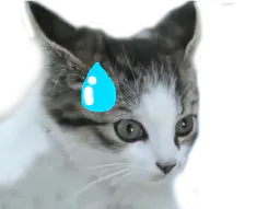 :chat_goutte: