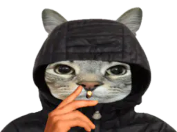:CS_Fume: