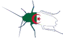 :Cafarabe: