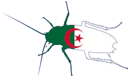:Cafarabe: