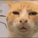 :Huhbro: