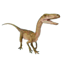 :Segisaurus: