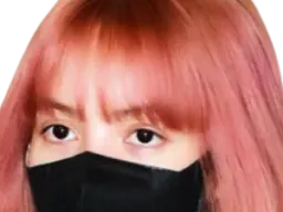 :lisa_mask: