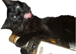 :Chat_Marlou_tse_mort: