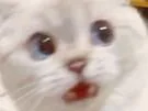 :Chatsurprise: