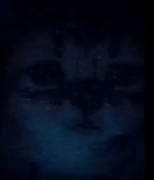 :chaton_schizo: