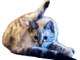 :Chatounette: