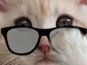 :chaserieux: