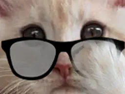 :chaserieux: