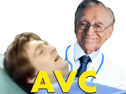 :palmade_avc: