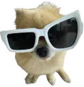 :spitz_wtf: