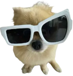 :spitz_wtf: