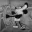 Photo de profil de MickeyMouse