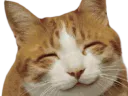 :chat_hap: