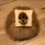 pomeranie