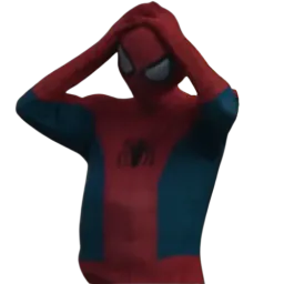 :SpiderOups: