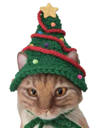 :chat_bonnet_noel: