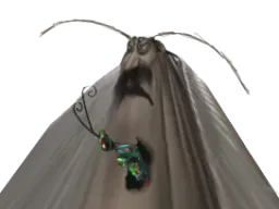 :risicafard_mort: