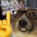 uwusilly