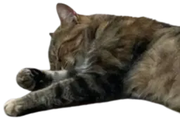 :Chat_Hawtsauce_fatigue: