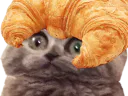 :chroissant: