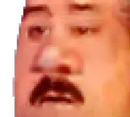 :ekrivinzoom:
