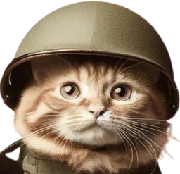 :ChatVietnam: