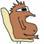 Photo de profil de herisson