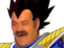 :vegeta_rit:
