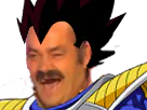 :vegeta_rit: