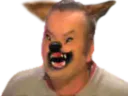 :Loup: