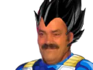 :risi_vegeta: