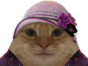 :Chatfleurs: