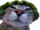 :CS_Quoi: