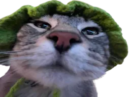 :CS_Quoi: