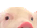 :demi_cochon: