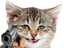 :silly_cat_gun: