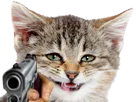 :silly_cat_gun: