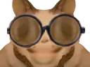 :Chatflippant: