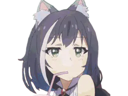 :kyaru_drink: