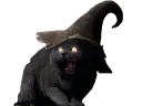 :Chat_Fou: