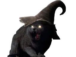 :Chat_Fou:
