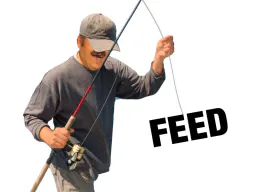 :pecheurfeed: