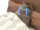 :Chadorcry: