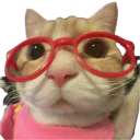 :Chat_lunettes_rouge: