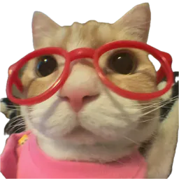 :Chat_lunettes_rouge: