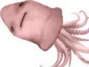 :poulpe_: