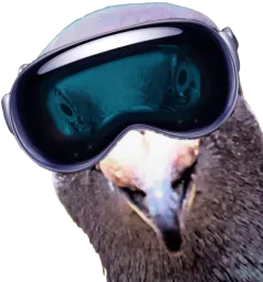 :pigeonVR: